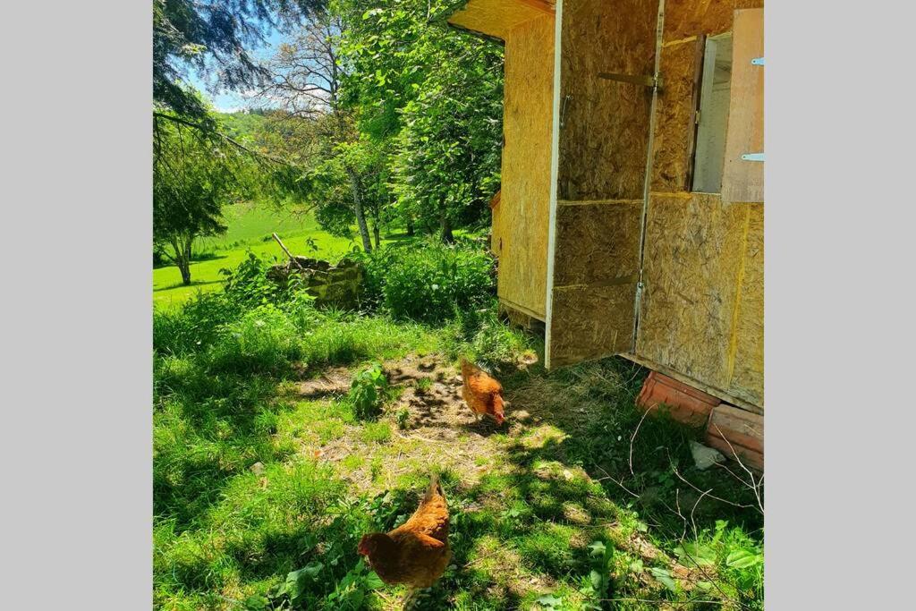 Gite Les Hauts De Villemaloux Dontreix Dış mekan fotoğraf